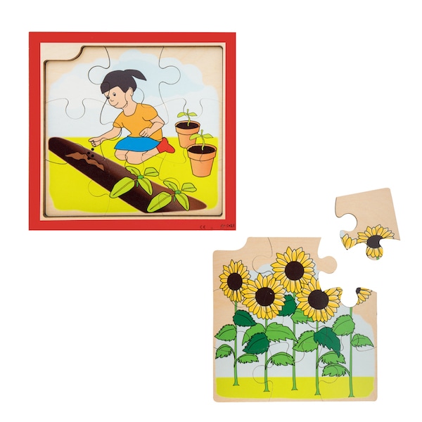 Growth Puzzle 4 layers SunFlower �i�Ђ܂��j